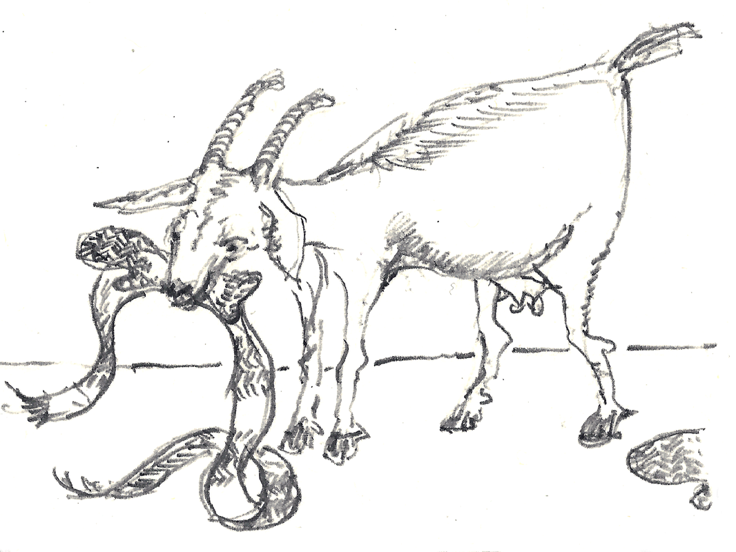 Illustration of a goat eating a scarf and mitten.  Pencil drawing on paper.  © Melinda Nettles 