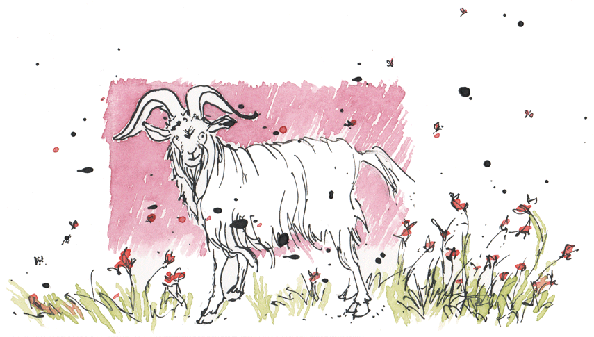This Goat Does Not Boat.  (Watercolor & india ink, © Melinda Nettles 2015.)