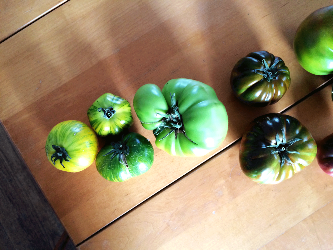 Photo of various heirloom tomatoes on a wood table.
