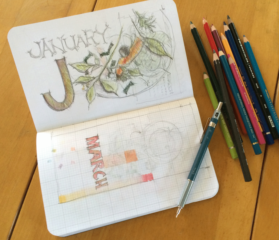 Photo of an open sketchbook, showing pencil and colored pencil studies for a farmer's market calendar.