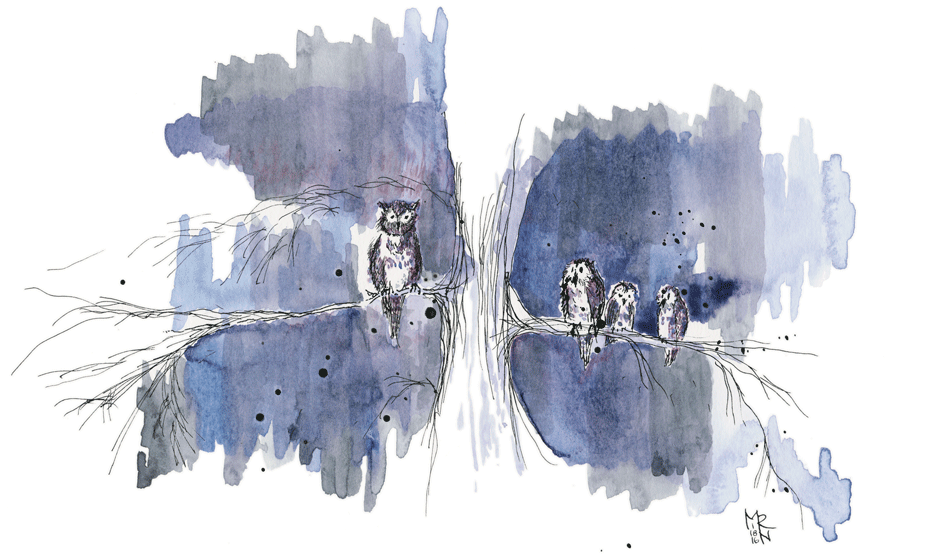 Four Friends. (Illustration of four owls in a tree.  Watercolor & india ink, © Melinda Nettles 2015.)