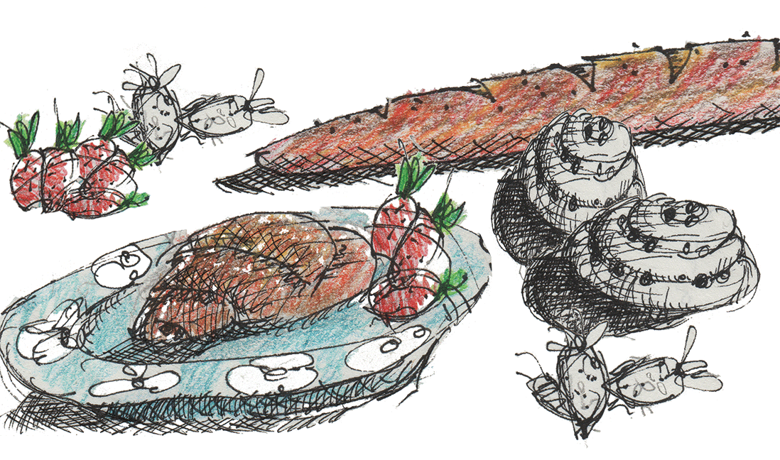 Illustration of pastries and baguette, plus strawberries, with a blue plate.  © Melinda Nettles, 2017